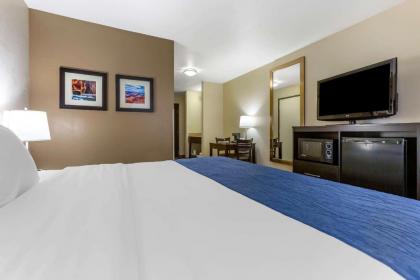 Comfort Inn & Suites Surprise Near Sun City West - image 13