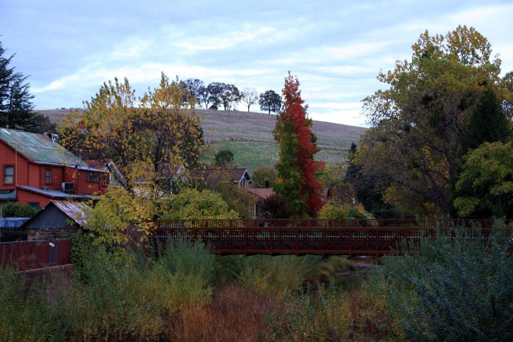 Eureka Street Inn - image 5