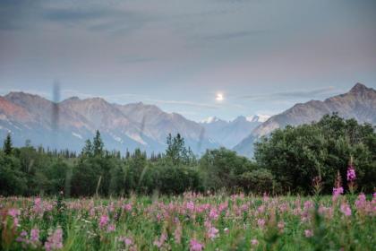 Majestic Valley Wilderness Lodge - image 7