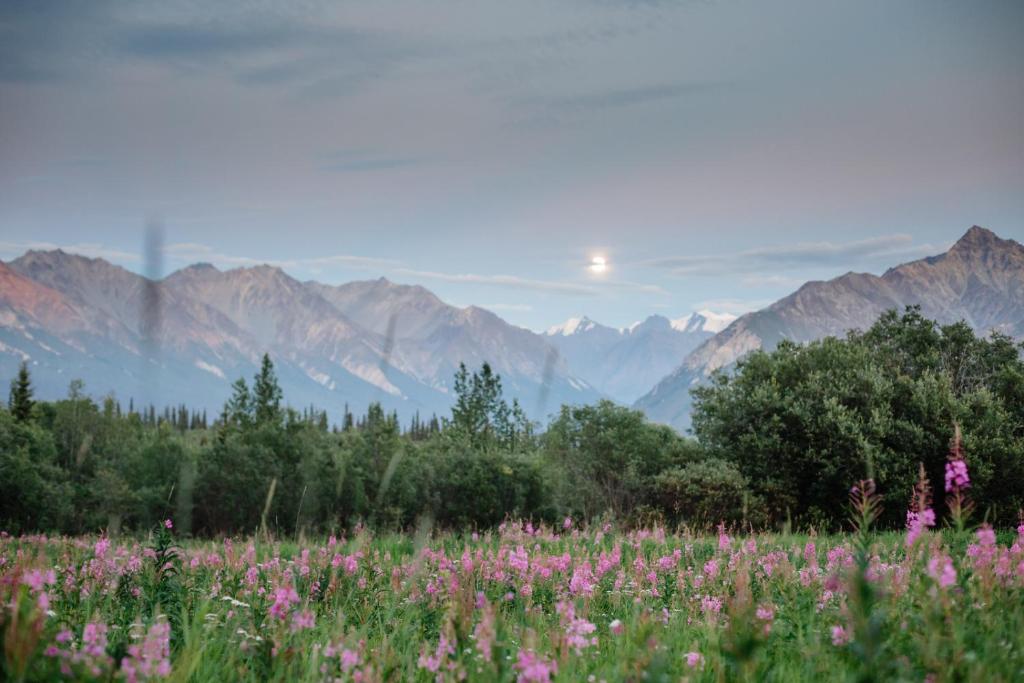 Majestic Valley Wilderness Lodge - image 7