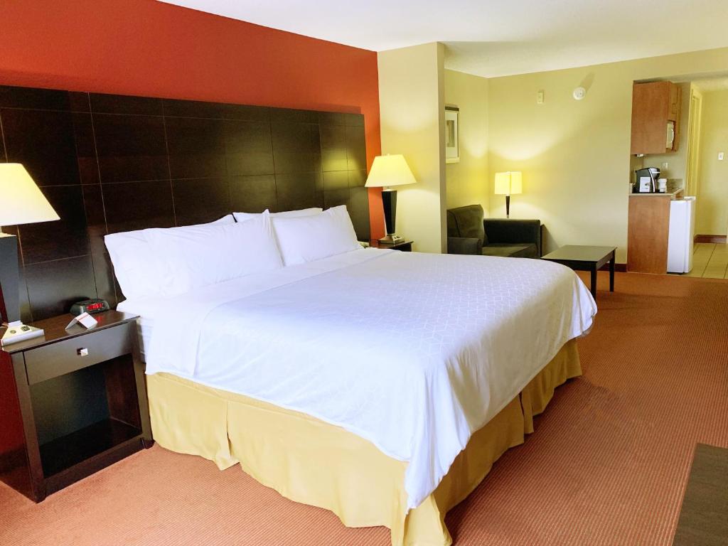 Holiday Inn Express and Suites Atlanta-Johns Creek an IHG Hotel - image 4