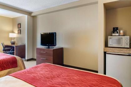 Comfort Inn and Suites - image 11