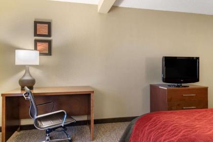 Comfort Inn and Suites - image 5