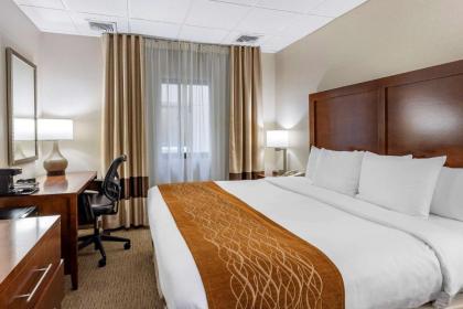 Comfort Inn Syosset-Long Island - image 10