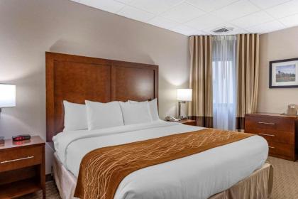 Comfort Inn Syosset-Long Island - image 12