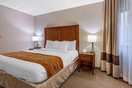 Comfort Inn Syosset-Long Island - image 13