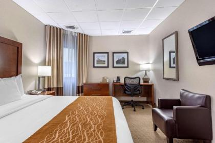 Comfort Inn Syosset-Long Island - image 15