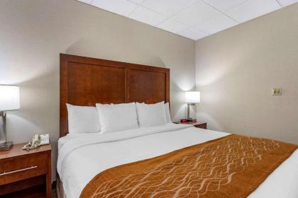 Comfort Inn Syosset-Long Island - image 8