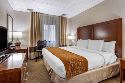 Comfort Inn Syosset-Long Island - image 9