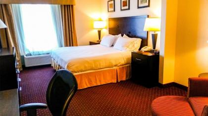 Holiday Inn Express Syracuse-Fairgrounds an IHG Hotel - image 2