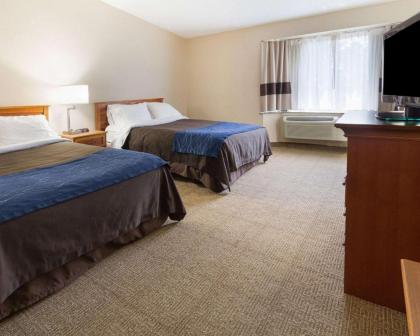 Comfort Inn Carrier Circle - image 13