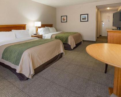 Comfort Inn Carrier Circle - image 7