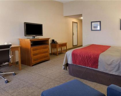 Comfort Inn Carrier Circle - image 9