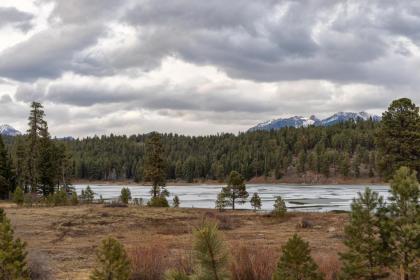 Spruce Mesa Cabin - image 11