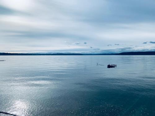 Bodhi's BumGalow on stilts above Puget Sound - image 4