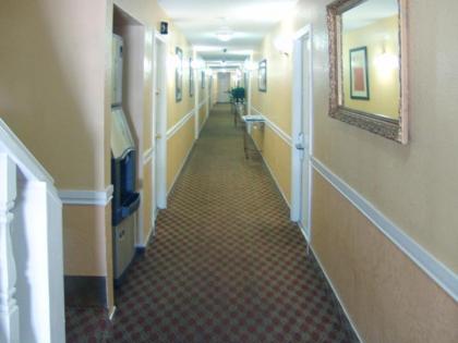 Holland Inn and Suites - image 6