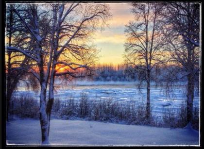 Susitna River Cabins - image 11