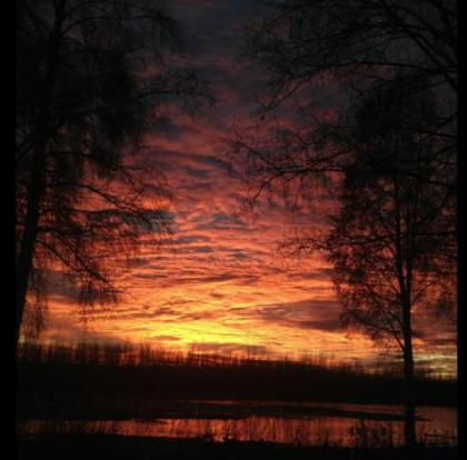 Susitna River Cabins - image 15