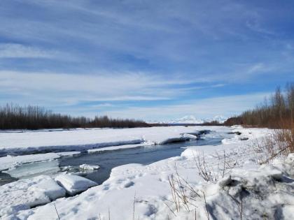 Susitna River Cabins - image 4