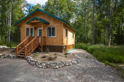 Talkeetna Wilderness Alaska