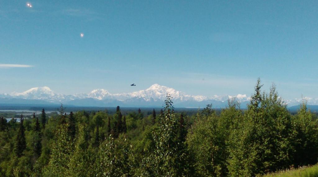 Talkeetna Love-Lee Cabins - image 5