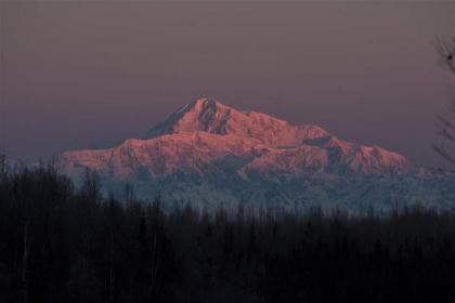 Talkeetna Fireweed Cabins - image 11