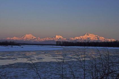 Talkeetna Fireweed Cabins - image 12