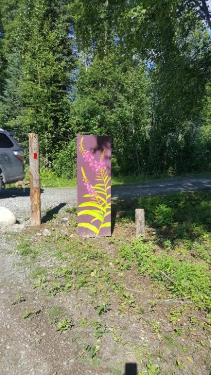 Talkeetna Fireweed Cabins - image 13