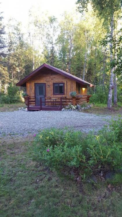 Talkeetna Fireweed Cabins - image 2