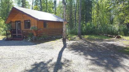 Talkeetna Fireweed Cabins - image 3