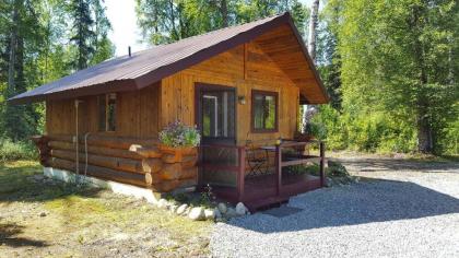 Talkeetna Fireweed Cabins - image 4