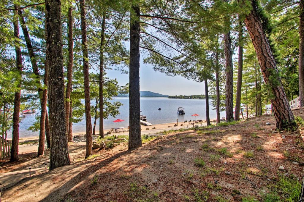 Center Ossipee Pet-Friendly Cottage with Dock! - image 6