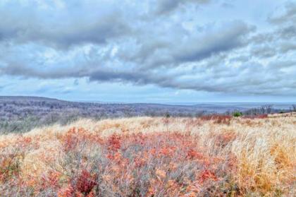 Camelback 86 - image 3