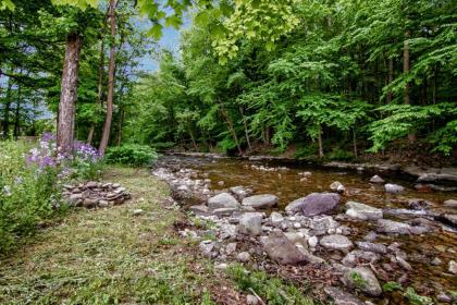 Cabin by the Creek with private creek access - image 16