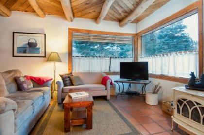 Holiday homes in taos Ski Valley New Mexico