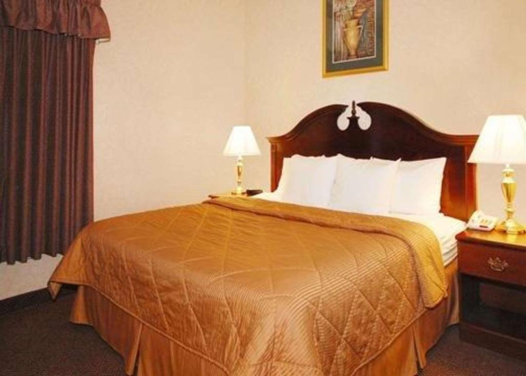 Quality Inn & Suites Tarboro - Kingsboro - image 3