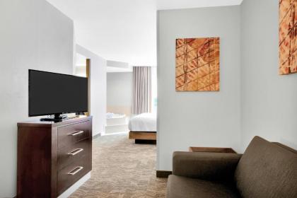 SpringHill Suites by Marriott Tarrytown Westchester County - image 7