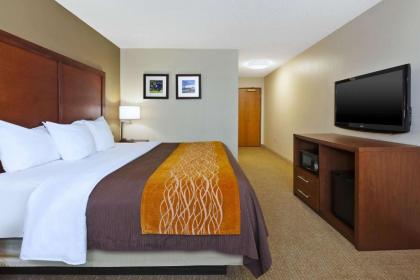 Comfort Inn & Suites Taylor - image 7