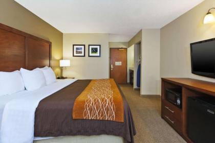 Comfort Inn & Suites Taylor - image 9