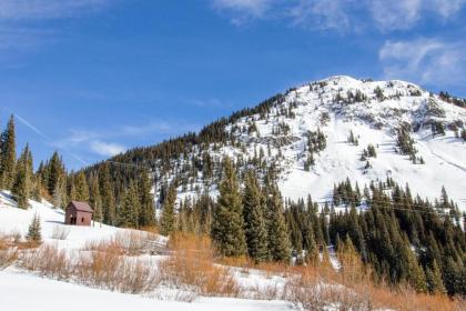 Telluride Town Jewel - image 10