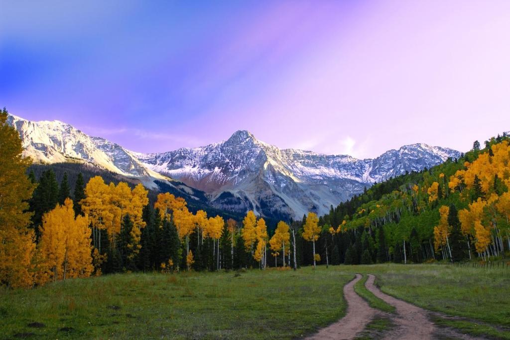 Telluride Town Jewel - image 3