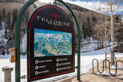 Telluride Town Jewel - image 8