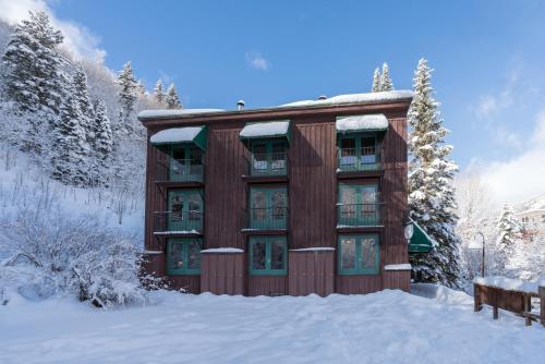 Manitou Lodge by Alpine Lodging Telluride - image 5