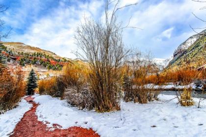 Mountain Village Slope-side Condos - image 5