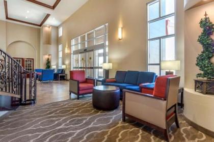 Comfort Suites Phoenix Airport - image 2