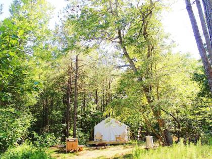 Tentrr - The Stand: Woodsy Glamping Retreat Near Chincoteague Island!