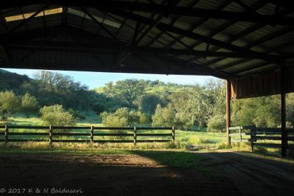 The Eden House Vineyard - image 10