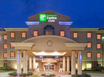 Holiday Inn Express Hotel & Suites Terrell an IHG Hotel - image 13