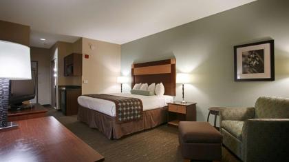 Best Western Plus Texarkana Inn and Suites - image 10