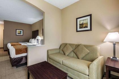 Comfort Suites The Colony - Plano West - image 10